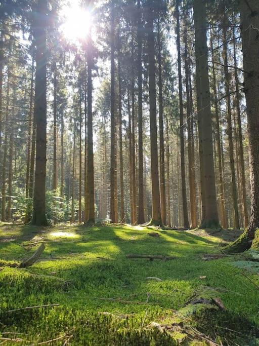 Gite N° 20, En Pleine Nature, Frontalier Signy-le-Petit Dış mekan fotoğraf